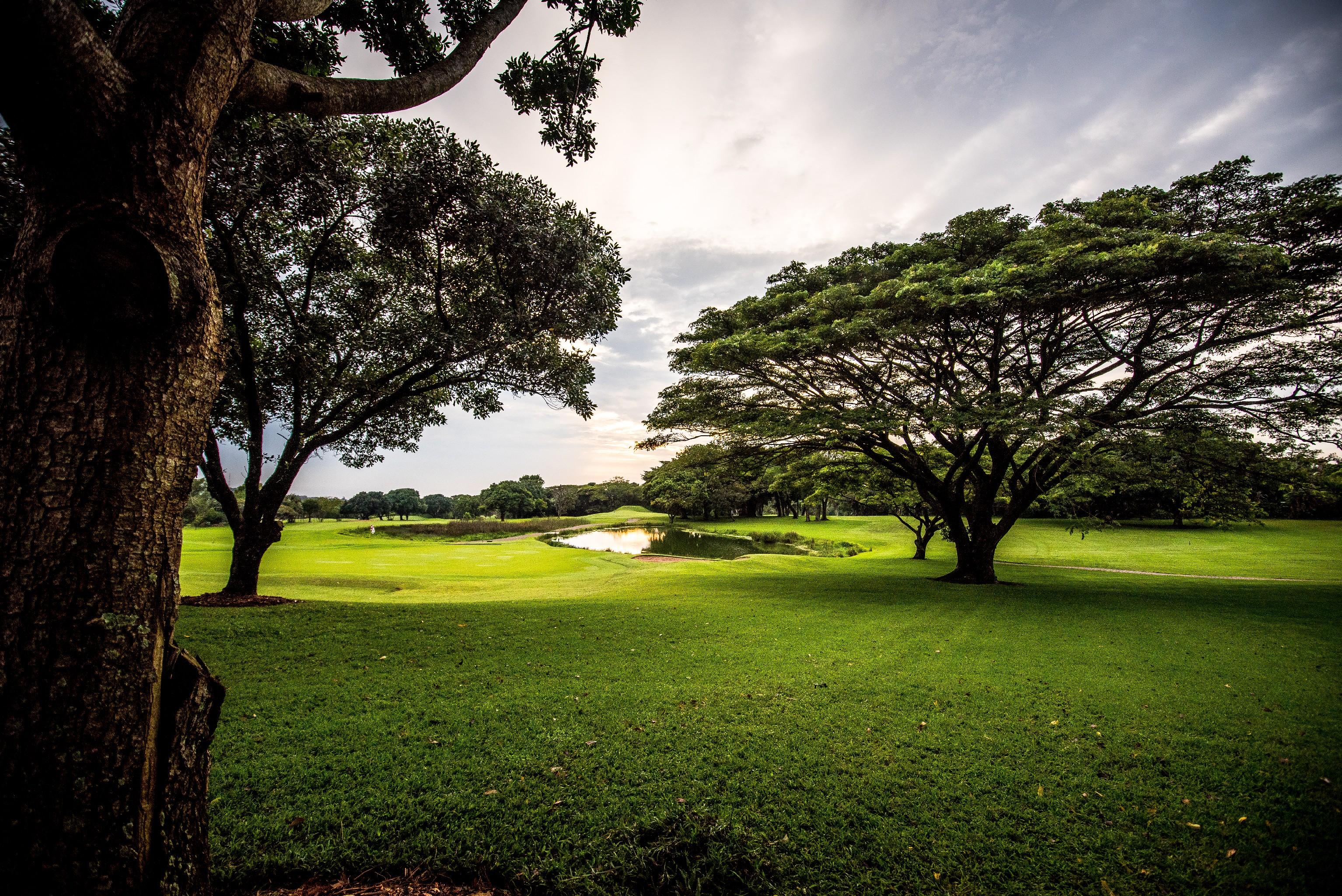 Selborne Golf Estate, Hotel & Spa Pennington Exterior photo