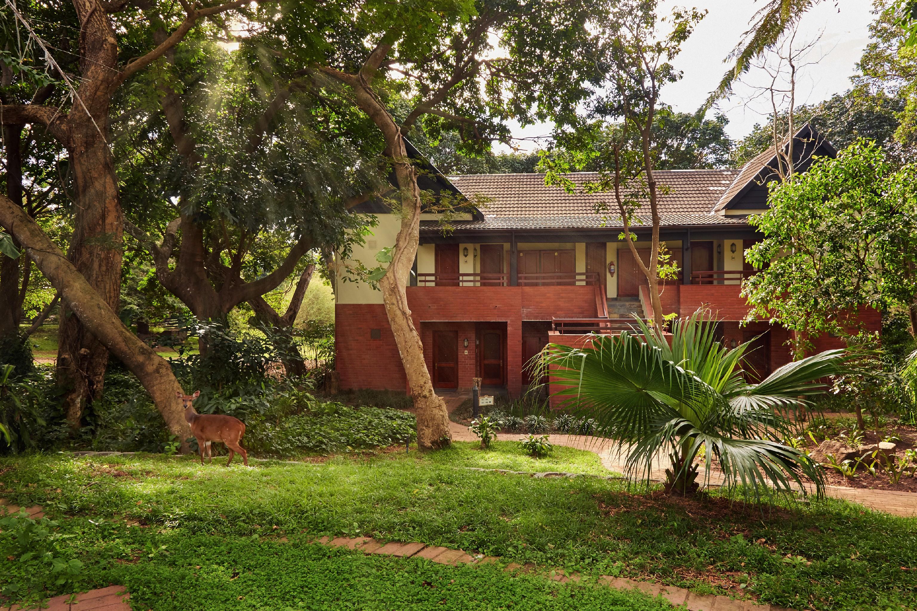 Selborne Golf Estate, Hotel & Spa Pennington Exterior photo